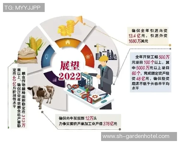 新豪门主义引领全球化浪潮开启新国际征程的时代变革与机遇 新豪门主义引领全球化浪潮开启新国际征程的时代变革与机遇