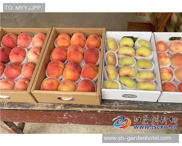 红桃理念引领创新发展之路助力未来经济腾飞