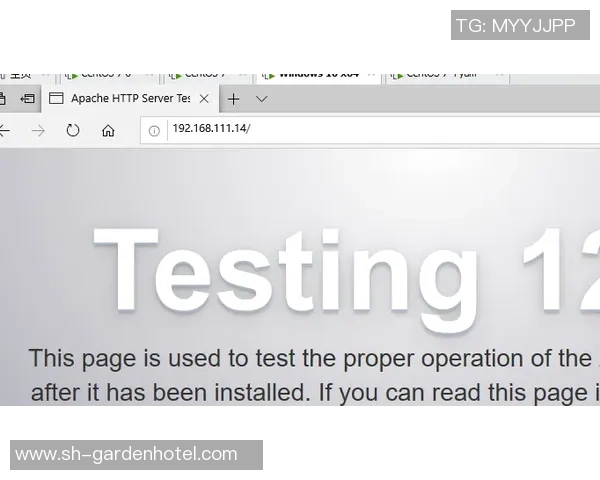沐鸣2访问控制模型的创新应用与安全性分析探讨