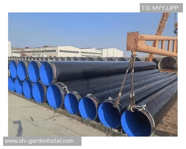 推动龙门国际产业数字化转型助力经济高质量发展新篇章 推动龙门国际产业数字化转型助力经济高质量发展新篇章