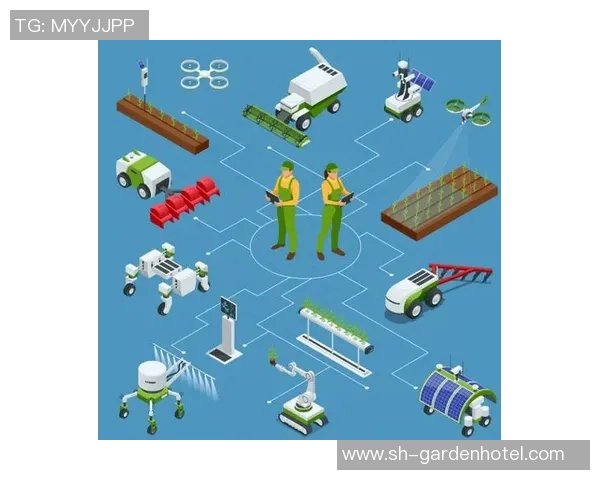 长运娱乐自动化重构助力行业升级与效率提升的全新探索之路