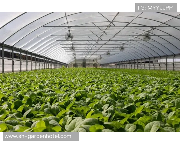 新宝GG生物计算探索助力生命科学研究与技术创新的未来发展之路