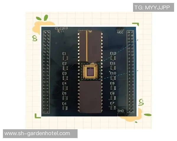 新宝GG碳基芯片技术引领未来电子产品创新与发展新潮流 新宝GG碳基芯片技术引领未来电子产品创新与发展新潮流