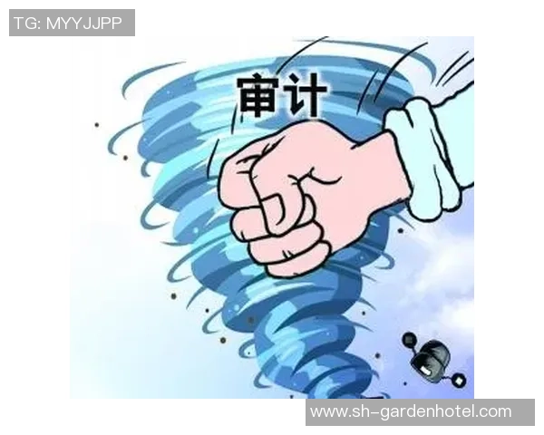 长运娱乐行业技术风险管控策略与实践探讨分析